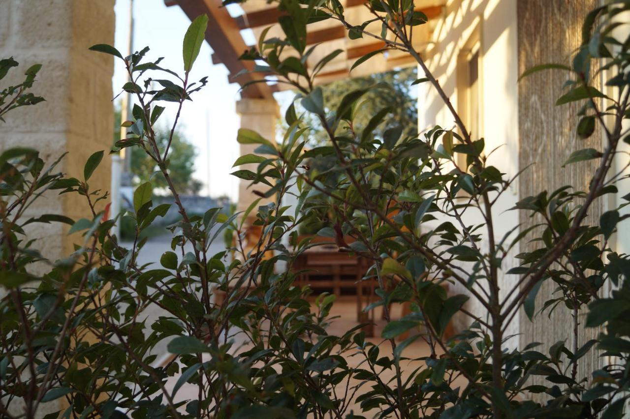 La Casa Del Nonno Bed & Breakfast Alberobello Rom bilde
