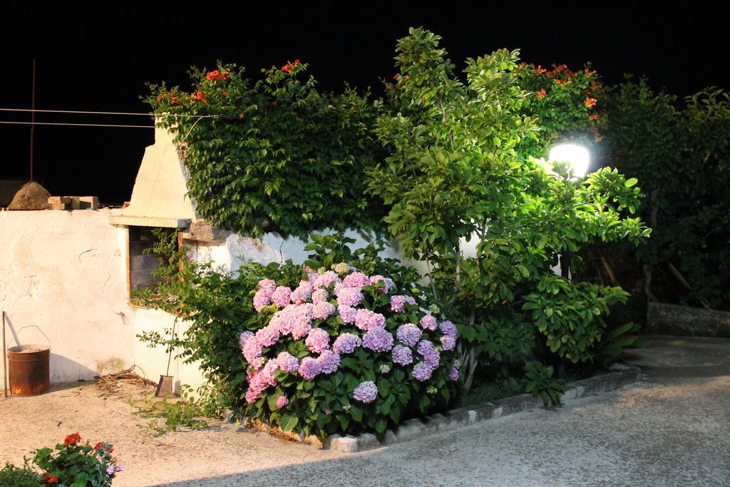 La Casa Del Nonno Bed & Breakfast Alberobello Eksteriør bilde