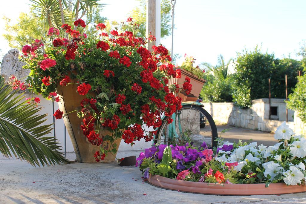 La Casa Del Nonno Bed & Breakfast Alberobello Eksteriør bilde