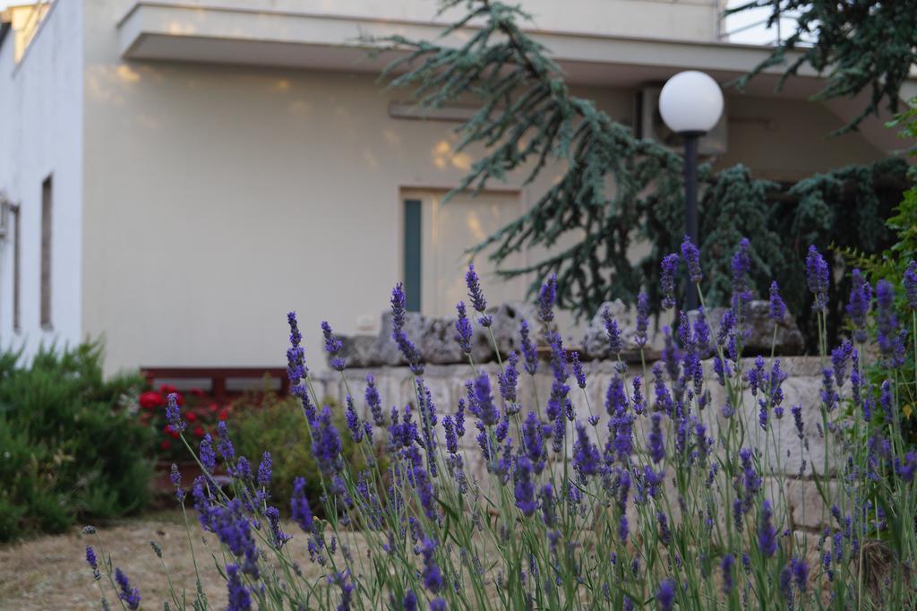 La Casa Del Nonno Bed & Breakfast Alberobello Eksteriør bilde