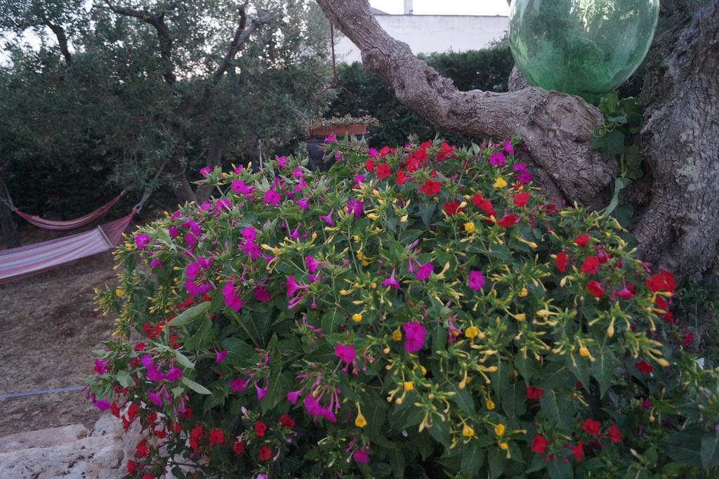 La Casa Del Nonno Bed & Breakfast Alberobello Eksteriør bilde