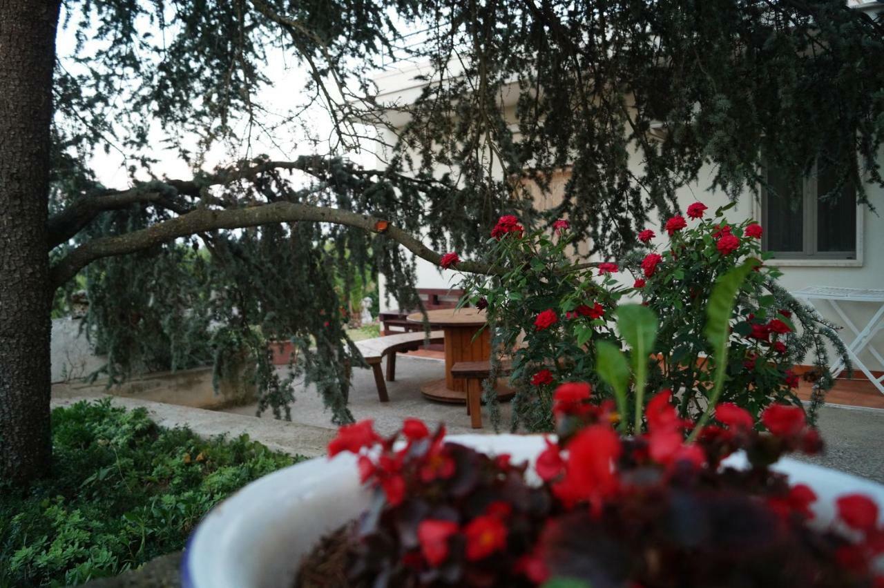 La Casa Del Nonno Bed & Breakfast Alberobello Eksteriør bilde